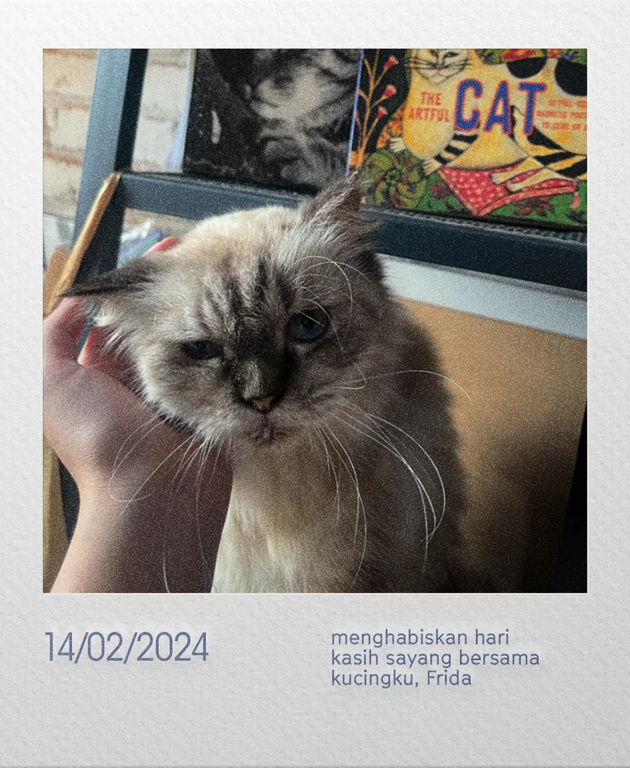 14/02/2024 — menghabiskan hari kasih sayang bersama kucingku, Frida.
